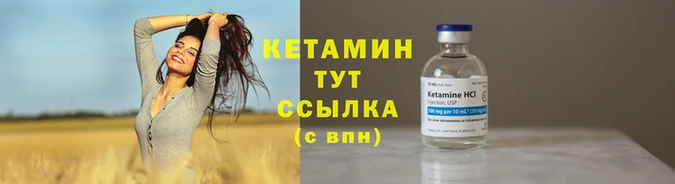 шишки Волоколамск