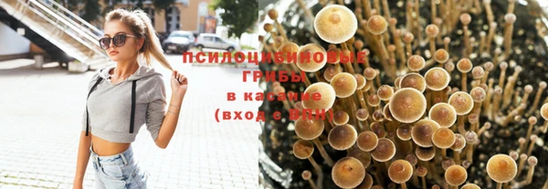 PSILOCYBIN Волосово