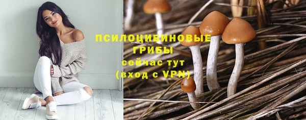 метадон Верея