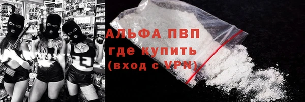 PSILOCYBIN Волосово