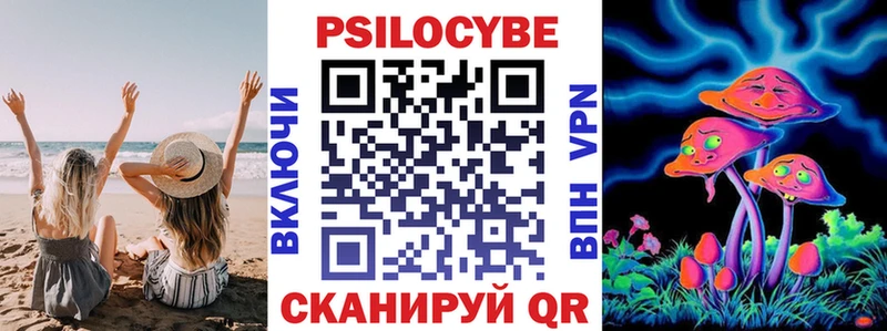 Купить где  Бирск  Псилоцибиновые грибы Cubensis 